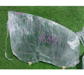 Стекло двери