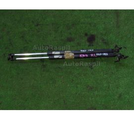 Амортизатор двери