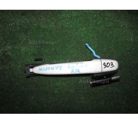 Ручка двери