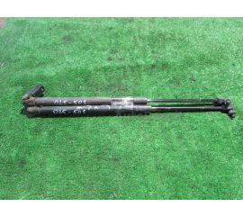 Амортизатор двери