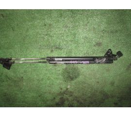 Амортизатор двери