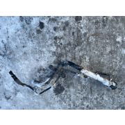 Горловина топливного бака Toyota RAV4 ZCA26 1ZZFE