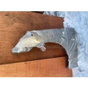 Крыло Toyota MARK II BLIT GX110 1GFE