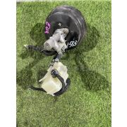 Главный тормозной цилиндр Honda CIVIC EU4 D17A