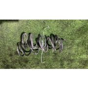 Пружина Nissan TEANA J31 VQ23DE