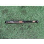 Амортизатор двери Mazda DEMIO DE3FS ZJVE