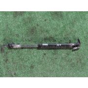 Амортизатор двери Toyota IST NCP61 1NZFE