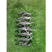 Пружина Toyota VITZ SCP90 2SZFE