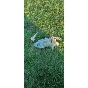 Замок зажигания Toyota VITZ SCP10 1SZFE