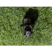 Рулевой карданчик Nissan SERENA KBC23 SR20DE