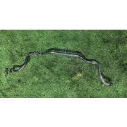 Стабилизатор Toyota CRESTA GX100 1GFE