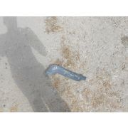 Подкрылок Toyota COROLLA FIELDER NZE141G 1NZFE