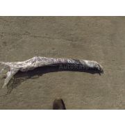 Ветровик Nissan TEANA J32 VQ25DE