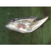 Фара Toyota PRIUS ZVW30 2ZRFXE