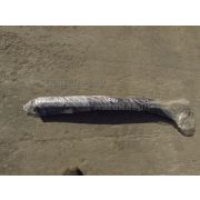 Ветровик Honda ODYSSEY RA6 F23A