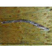 Ветровик Nissan EXPERT VW11 QG18DE