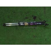 Амортизатор двери Honda ODYSSEY RA6 F23A