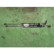 Амортизатор двери Nissan TIIDA C11 HR15DE