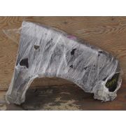 Крыло Nissan CUBE YZ11 HR15DE