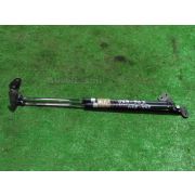 Амортизатор двери Mazda DEMIO DW3W B3