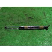 Амортизатор двери Honda ODYSSEY RA6 F23A