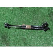 Амортизатор двери Nissan LEAF AZE0 EM57