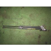 Амортизатор двери Toyota ALLEX NZE121 1NZFE