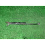 Амортизатор двери Nissan MARCH YK12 HR15DE