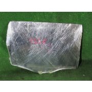 Стекло двери Nissan X-TRAIL NT31 MR20DE