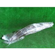 Ветровик Nissan X-TRAIL T30 QR20DE