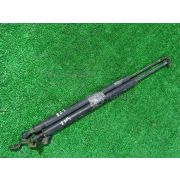 Амортизатор двери Honda ODYSSEY RA6 F23A