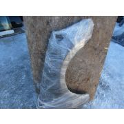 Крыло Nissan FUGA PY50 VQ35HR