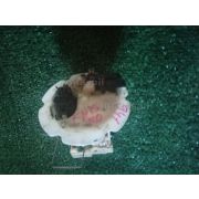 Топливный насос Nissan PULSAR FN15 GA15DE