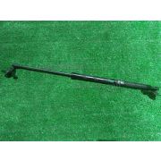 Амортизатор двери Honda N-WGN JH1 S07A