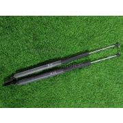 Амортизатор двери Nissan SERENA CC25 MR20DE