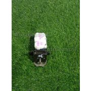 Замок багажника Toyota PORTE NNP11 1NZFE