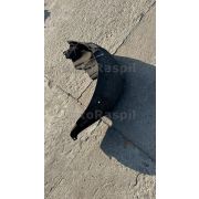 Подкрылок Toyota WISH ZNE14G 1ZZFE