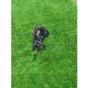 Подушка двигателя Toyota COROLLA FIELDER NZE144G 1NZFE