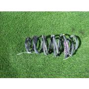 Пружина Toyota PORTE NNP10 2NZFE